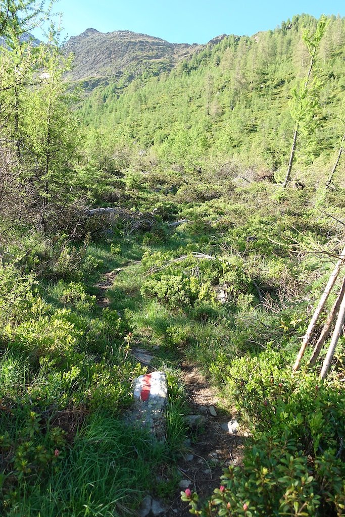 Bietschhornhütte, Lötschental (08.07.2018)