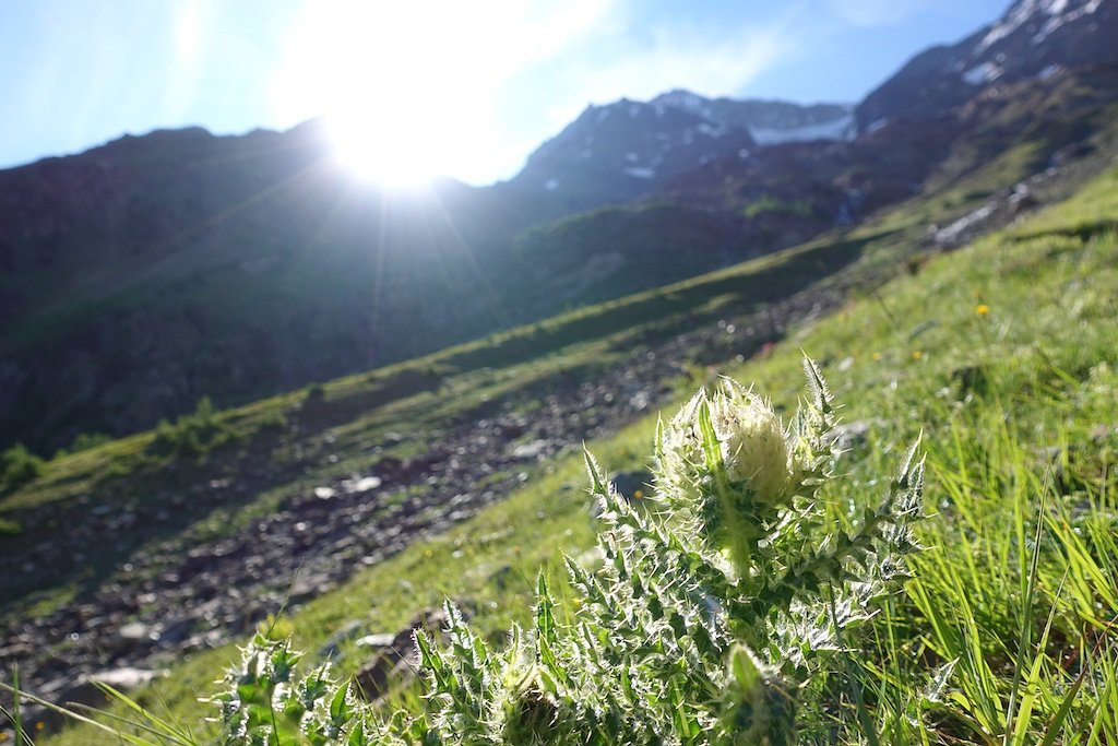 Bietschhornhütte, Lötschental (08.07.2018)