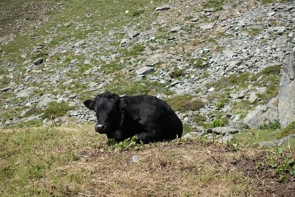 Cabane Valsorey (10.07.2018)