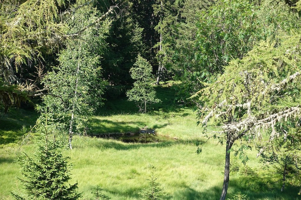 Chez les Pillet, Le Cœur, La Cheutse, Alpage de l'Arpille (18.07.2018)