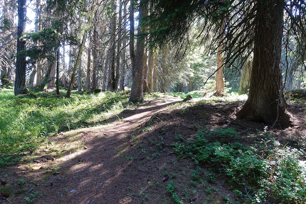 Chez les Pillet, Le Cœur, La Cheutse, Alpage de l'Arpille (18.07.2018)