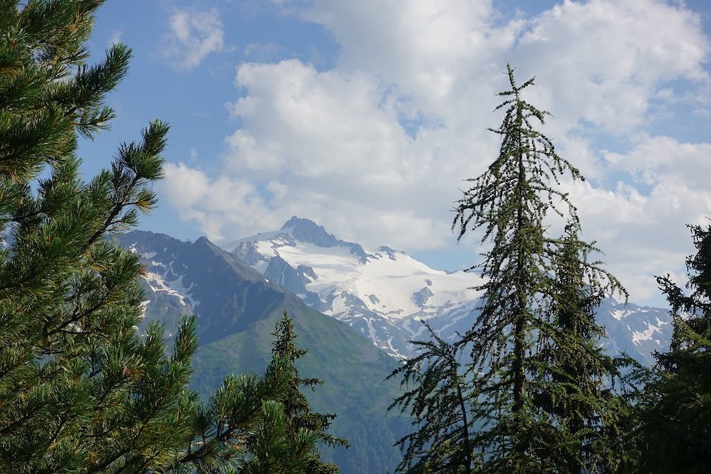 Chez les Pillet, Le Cœur, La Cheutse, Alpage de l'Arpille (18.07.2018)