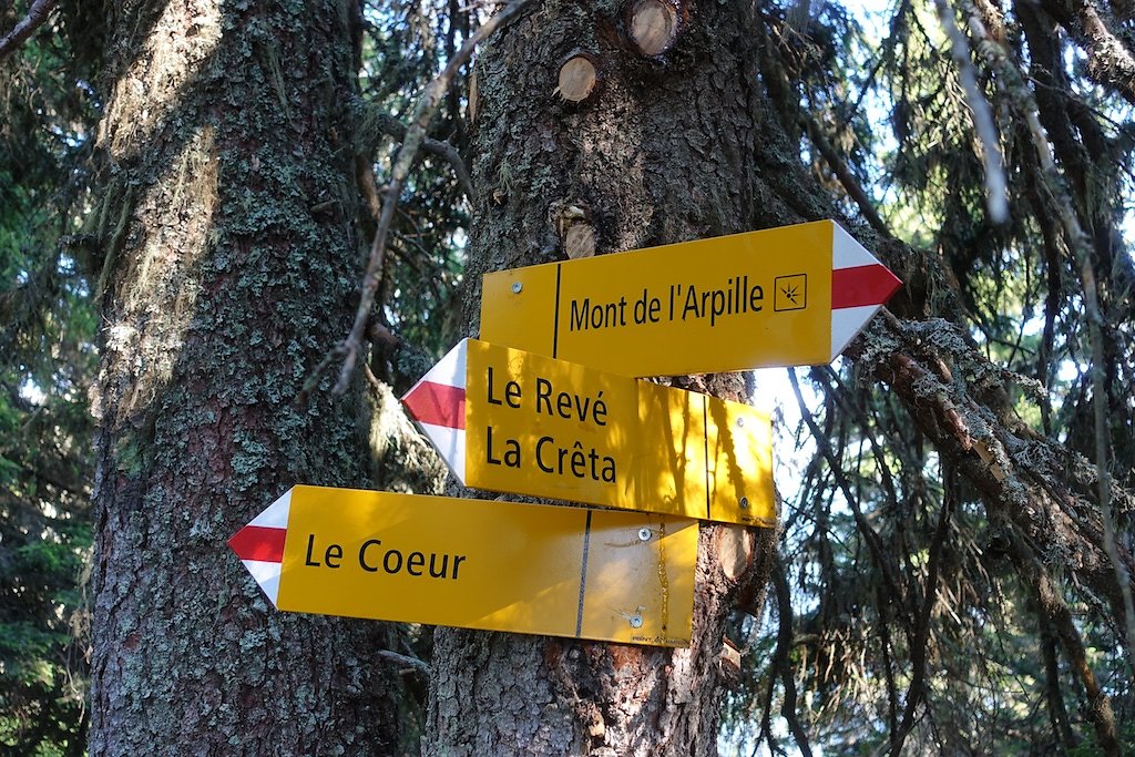 Chez les Pillet, Le Cœur, La Cheutse, Alpage de l'Arpille (18.07.2018)