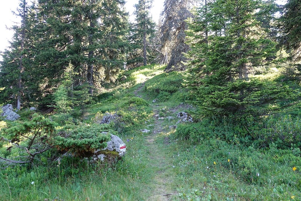 Chez les Pillet, Le Cœur, La Cheutse, Alpage de l'Arpille (18.07.2018)