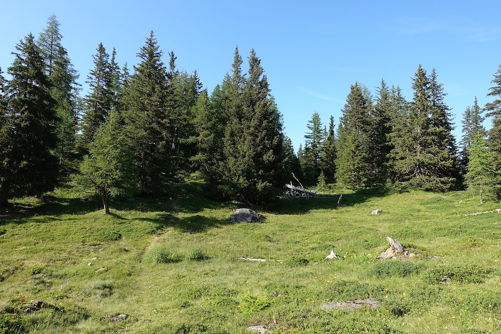 Chez les Pillet, Le Cœur, La Cheutse, Alpage de l'Arpille (18.07.2018)