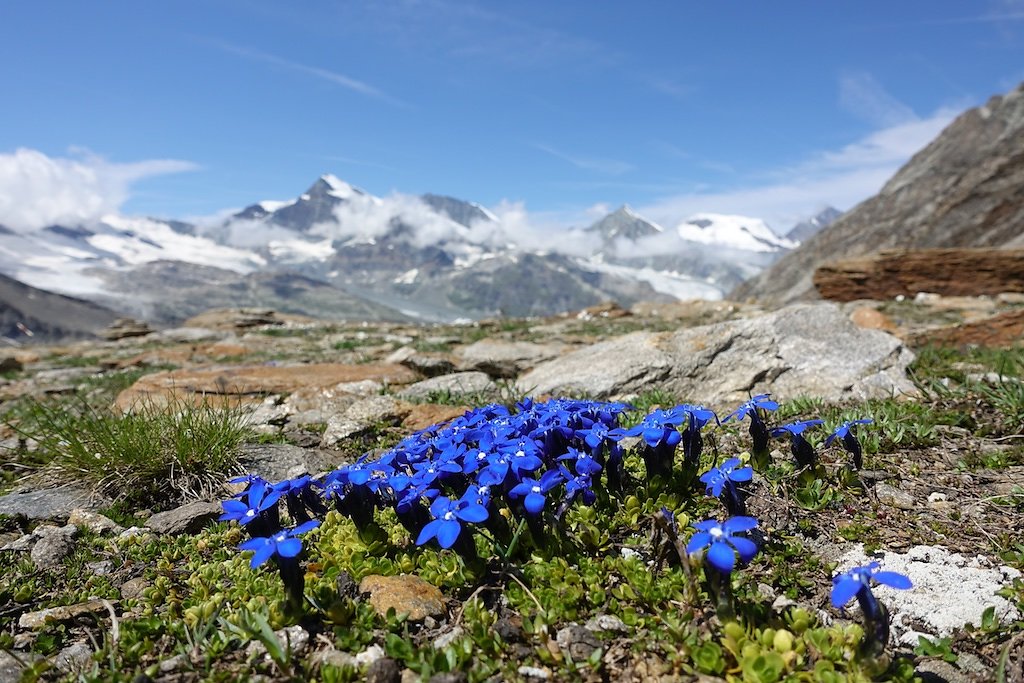 Mattmark, Jazzilücke (Passo di Cingino) (11.08.2018)