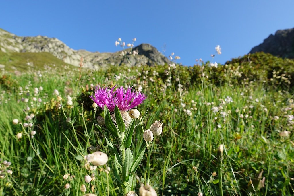 Emosson, Col de Fenestral, Emaney, Col de Barberine (16.08.2018)