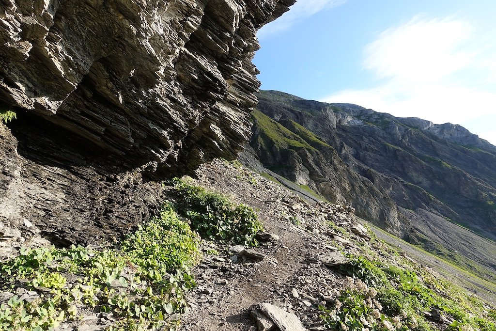 Les Rousses, Zeuzier, Lac de Ténéhé, Col des Eaux Froides, Cabane des Audannes (22.08.2018)