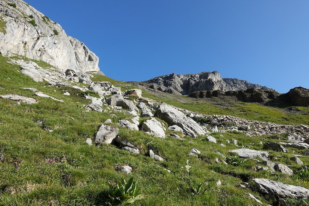 Les Rousses, Zeuzier, Lac de Ténéhé, Col des Eaux Froides, Cabane des Audannes (22.08.2018)