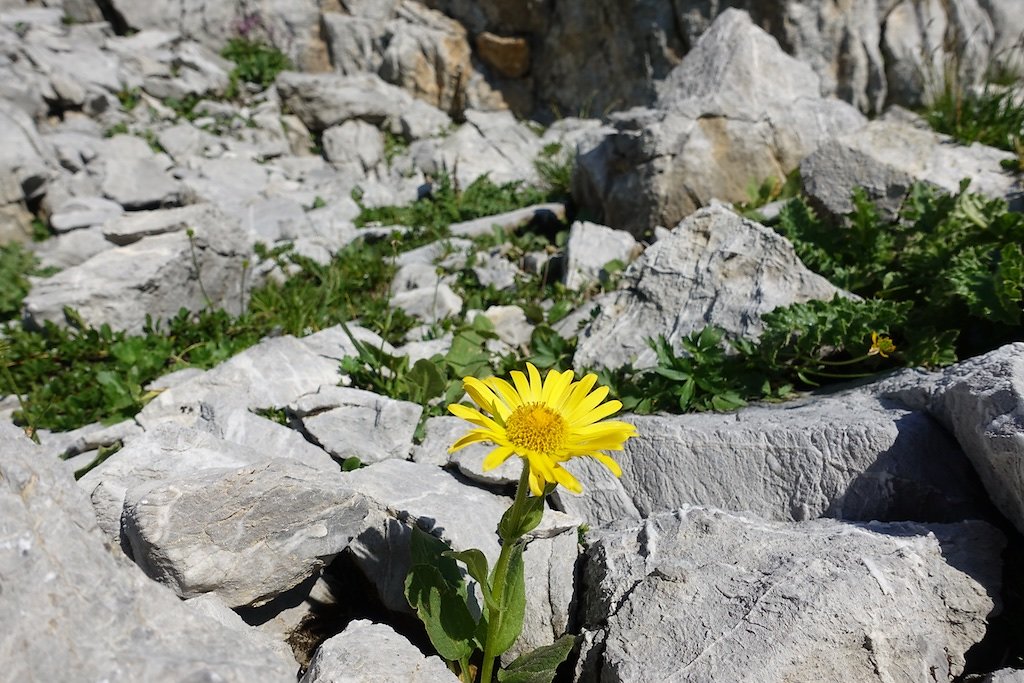 Les Rousses, Zeuzier, Lac de Ténéhé, Col des Eaux Froides, Cabane des Audannes (22.08.2018)