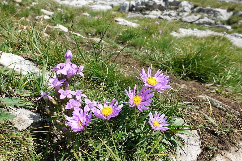 Les Rousses, Zeuzier, Lac de Ténéhé, Col des Eaux Froides, Cabane des Audannes (22.08.2018)