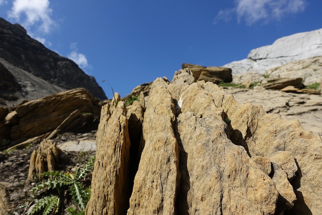 Les Rousses, Zeuzier, Lac de Ténéhé, Col des Eaux Froides, Cabane des Audannes (22.08.2018)