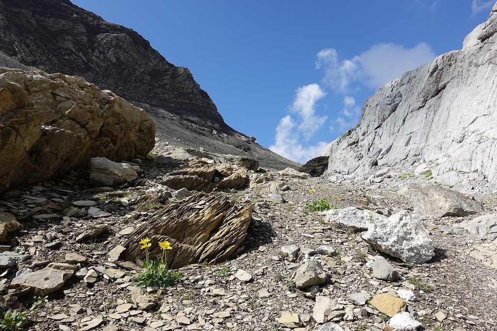 Les Rousses, Zeuzier, Lac de Ténéhé, Col des Eaux Froides, Cabane des Audannes (22.08.2018)