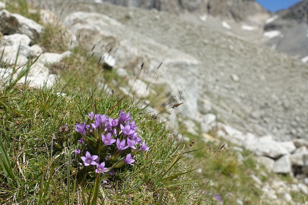 Baltschiedertal et Cabane de Baltschiederklause (27-28.08.2018)