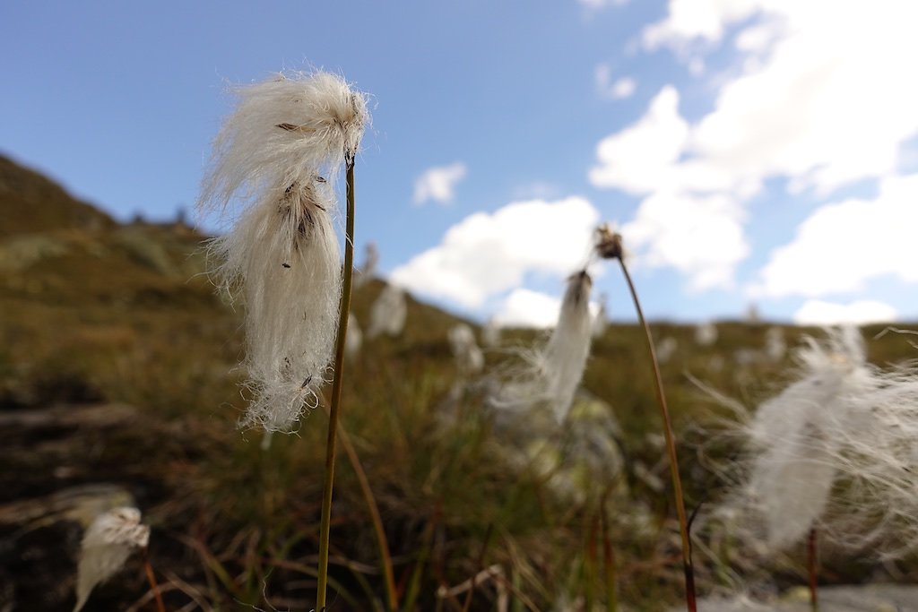 Oberalppass, Pazolastock, Badushütte (09.09.2018)