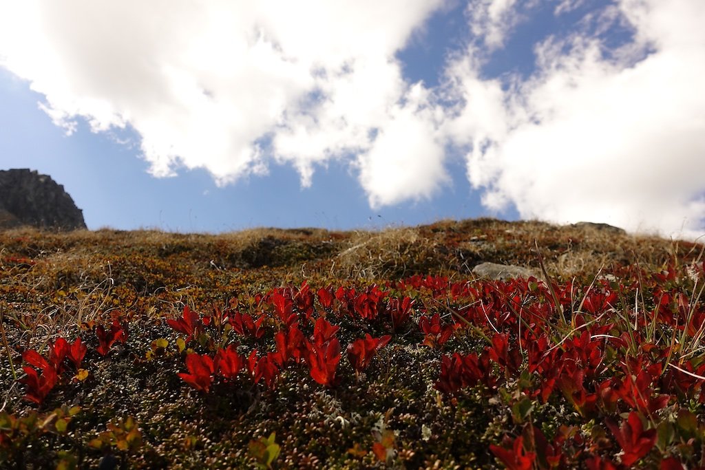 Oberalppass, Pazolastock, Badushütte (09.09.2018)