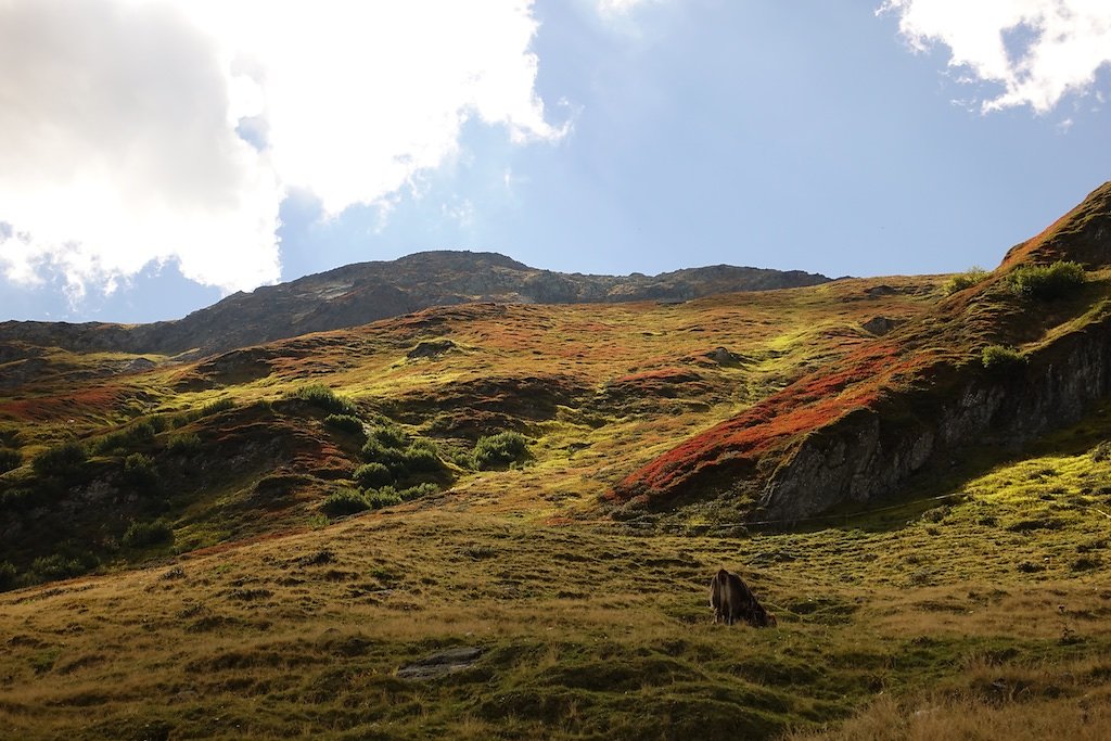 Oberalppass, Pazolastock, Badushütte (09.09.2018)