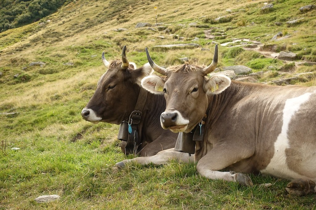 Oberalppass, Pazolastock, Badushütte (09.09.2018)