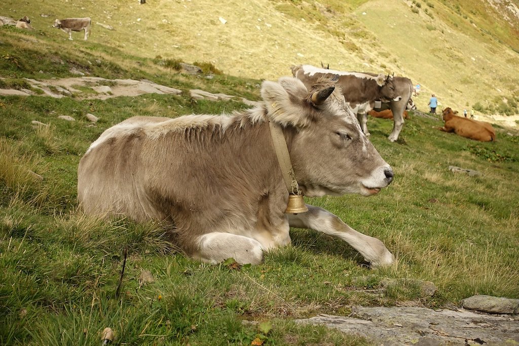 Oberalppass, Pazolastock, Badushütte (09.09.2018)