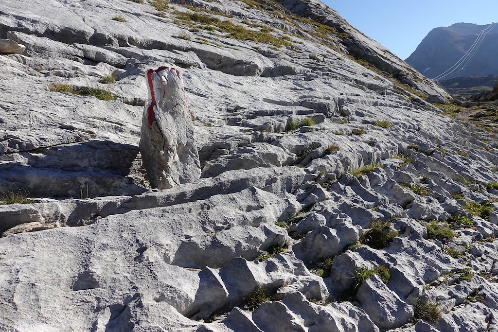 Zeuzier, Armillon, Plan des Roses, Col du Rawyl, Wildstrubelhütte, Lac de Huiton, Mondralèche (12.09.2018)