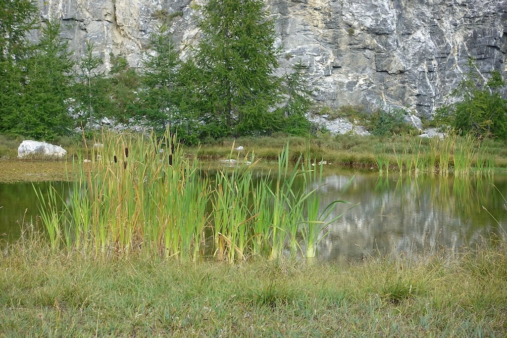 Zeuzier, Armillon, Plan des Roses, Col du Rawyl, Wildstrubelhütte, Lac de Huiton, Mondralèche (12.09.2018)