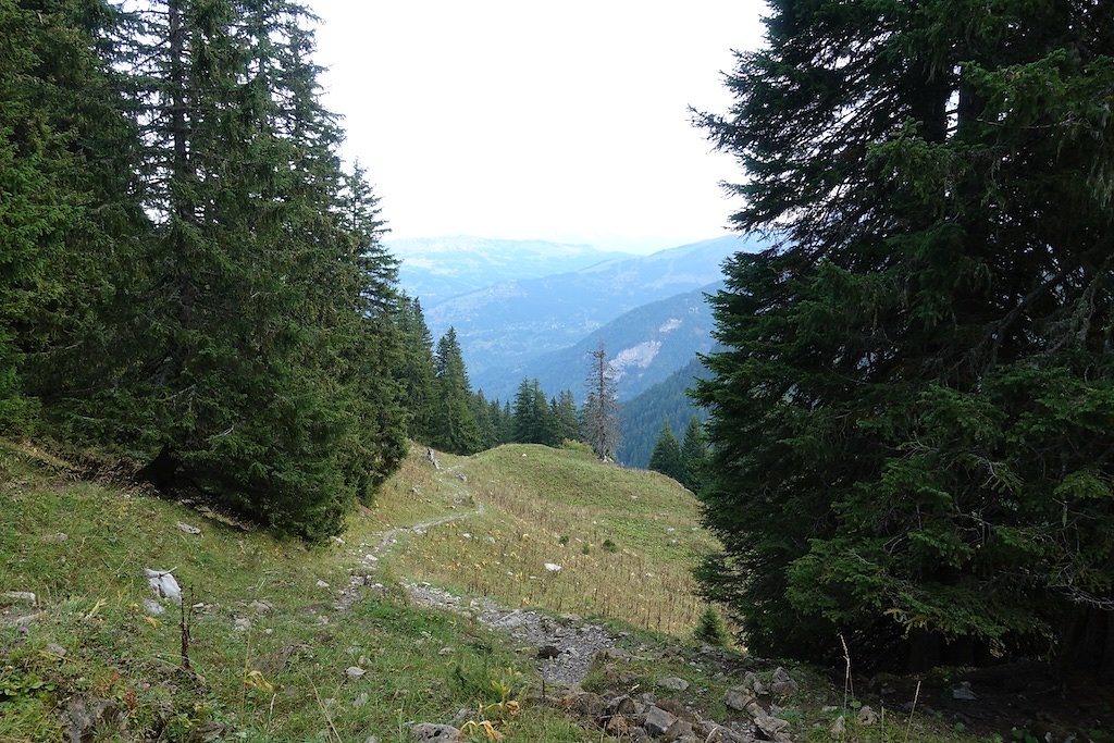 Javerne, Cabane de la Tourche (16.09.2018)