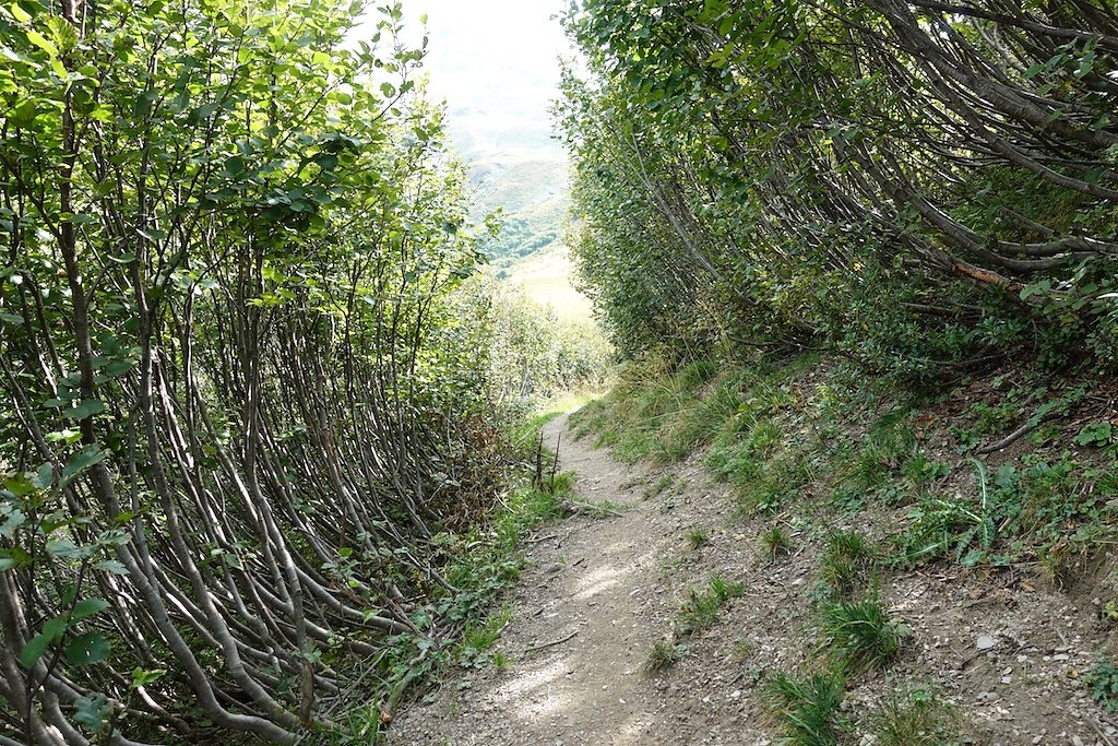 Javerne, Cabane de la Tourche (16.09.2018)