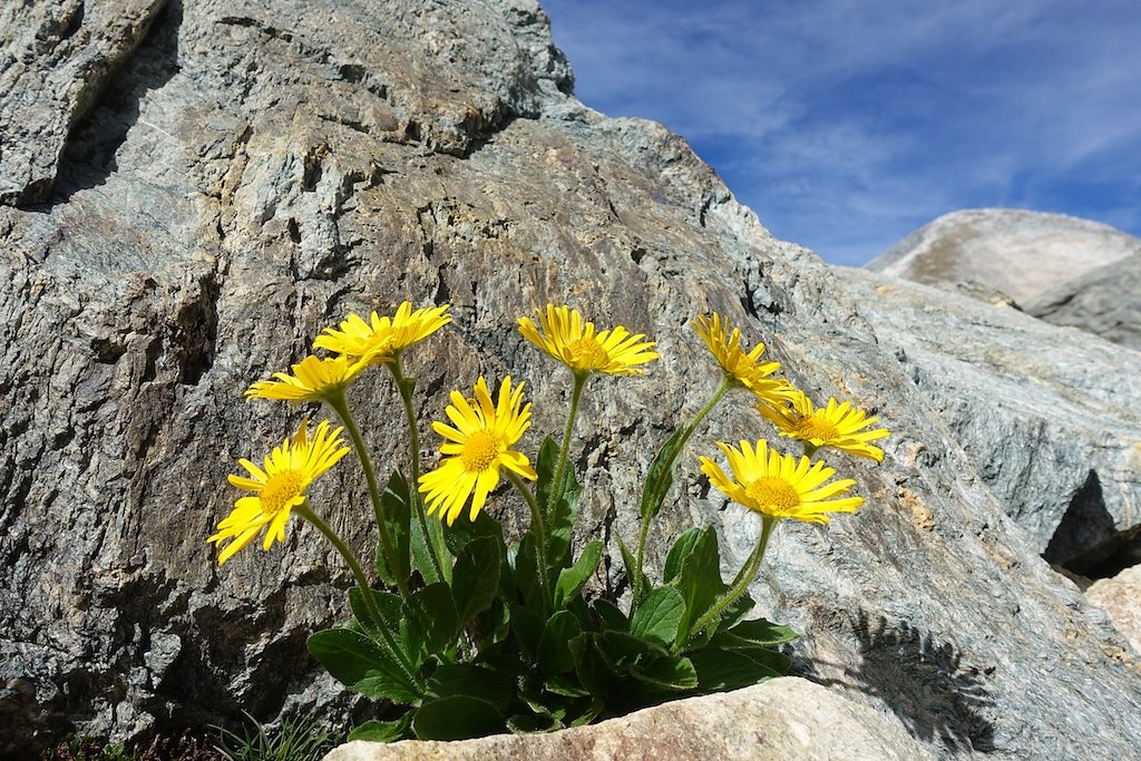 Tignousa, Cabane Bella Tola, Rothorn, Bella Tola, Pas du Boeuf (22.09.2018)