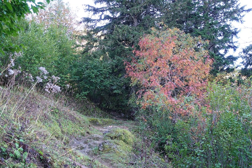 Pic Chaussy, Lac de Lioson (29.09.2018)
