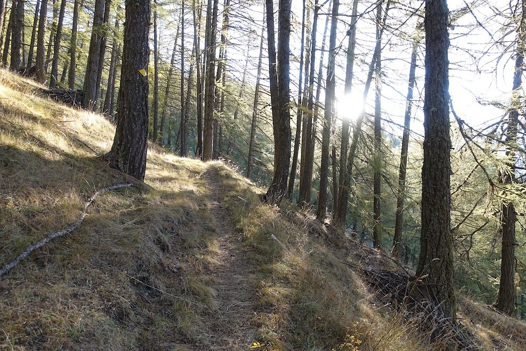 Leiggern, Wiwannihütte (19.10.2018)