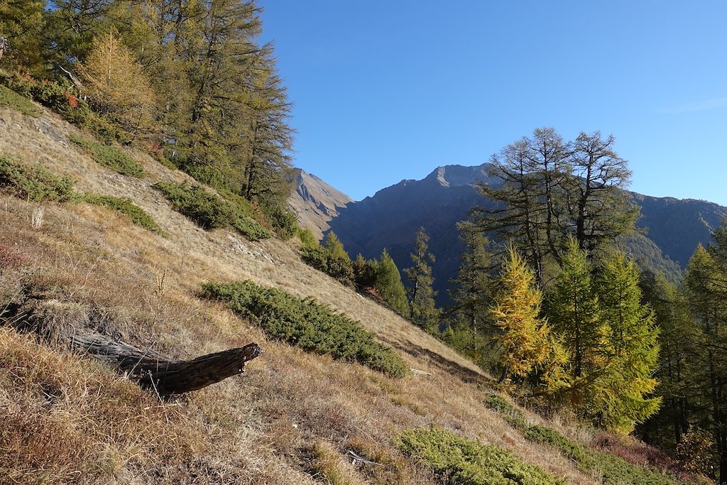 Leiggern, Wiwannihütte (19.10.2018)