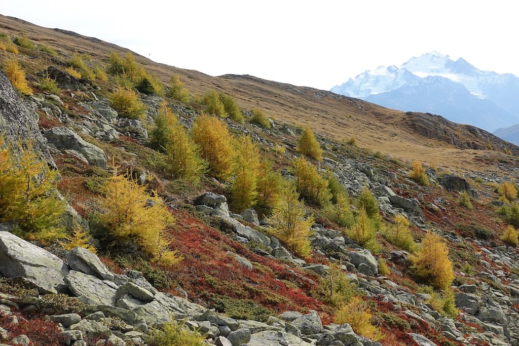 Leiggern, Wiwannihütte (19.10.2018)