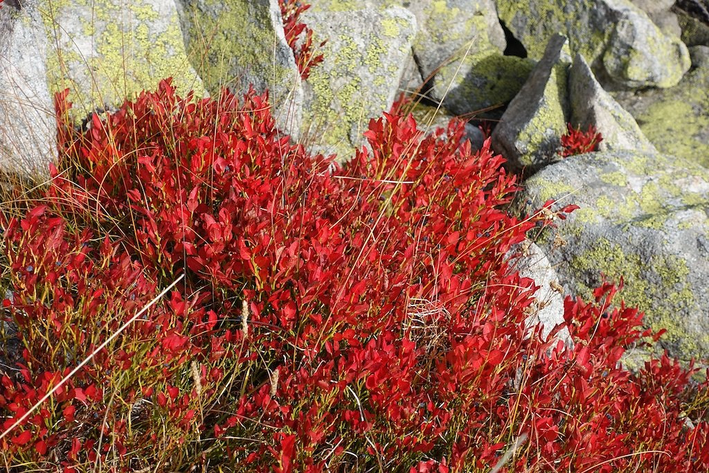 Leiggern, Wiwannihütte (19.10.2018)