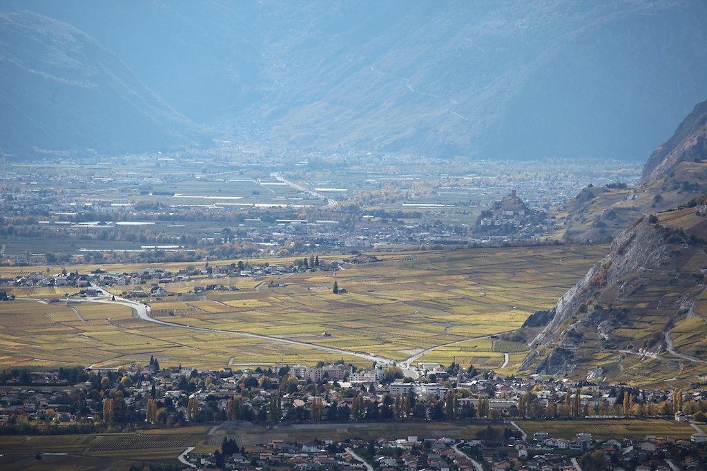 Plaine du Rhône