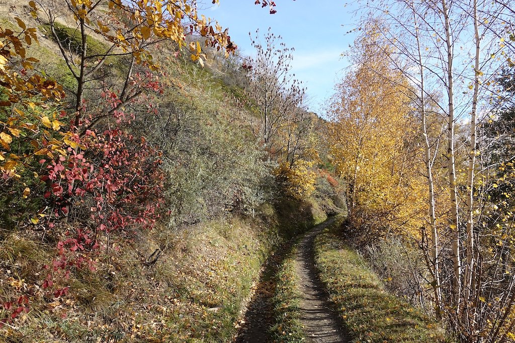 Rampe sud du Lötschberg: Hohtenn à Ausserberg (10.11.2018)