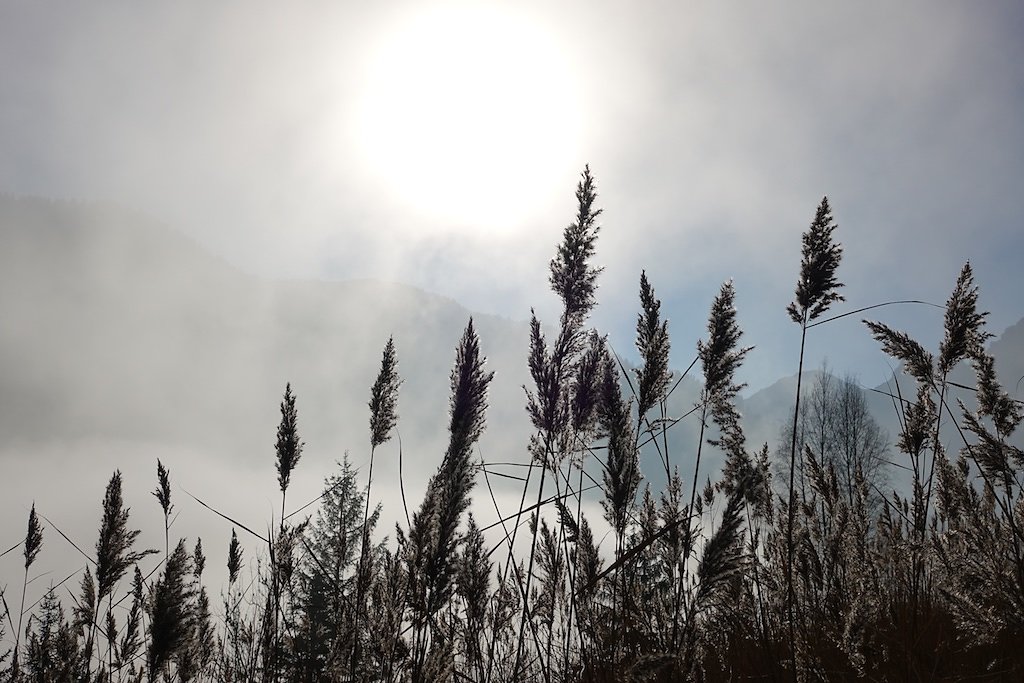 Pointe de Bellevue (18.11.2018)
