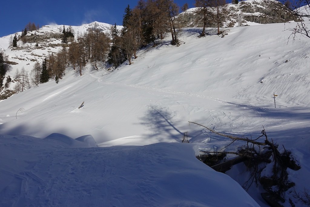 Aminona, Remointse du Plan (03.01.2019)
