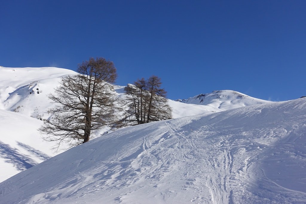 Aminona, Remointse du Plan (03.01.2019)
