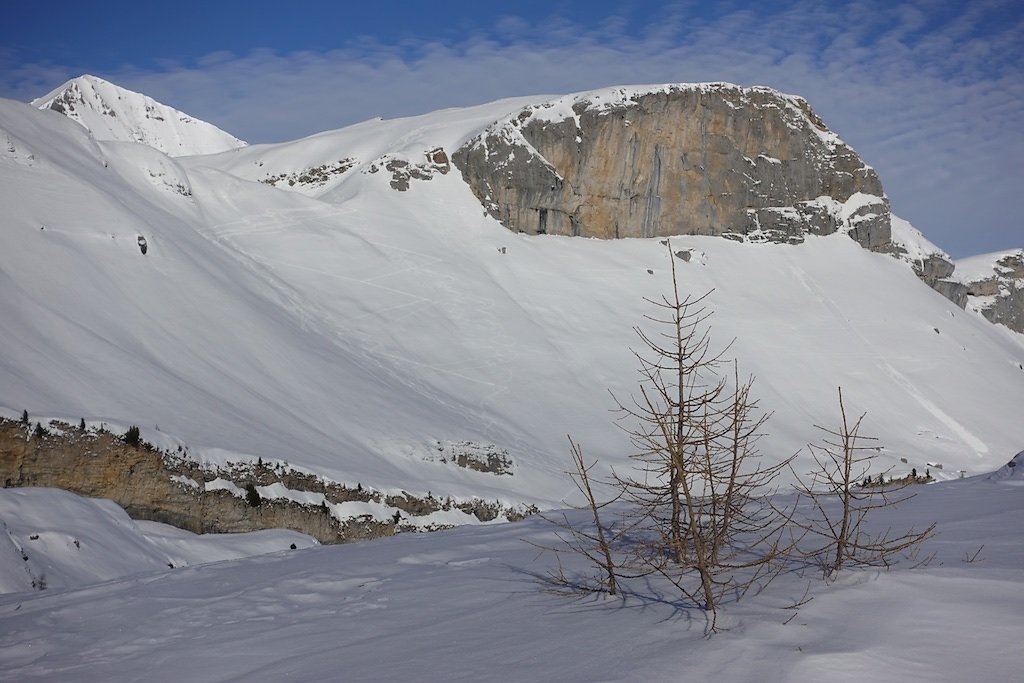 Gemmi, Schwarenbach (01.01.2019)