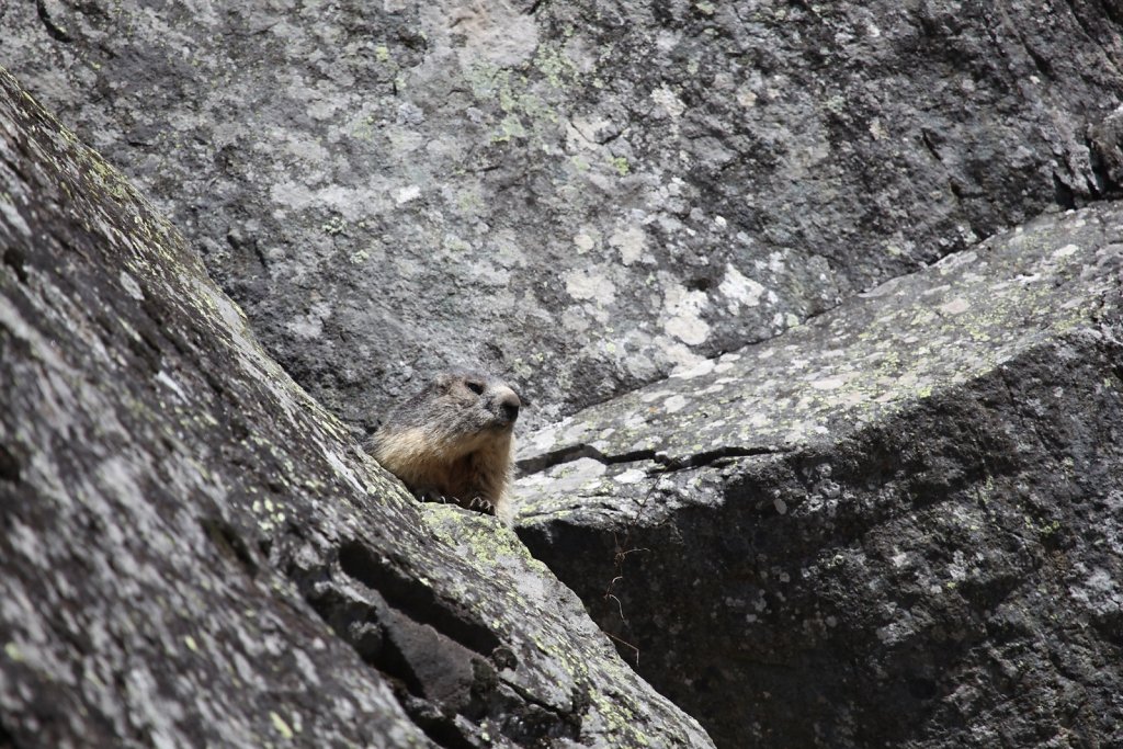 Fionnay, direction Louvie (01.05.2019)