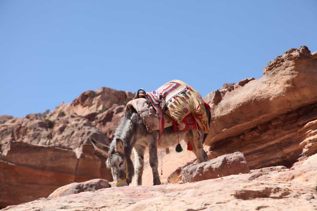 Jordanie (2019)