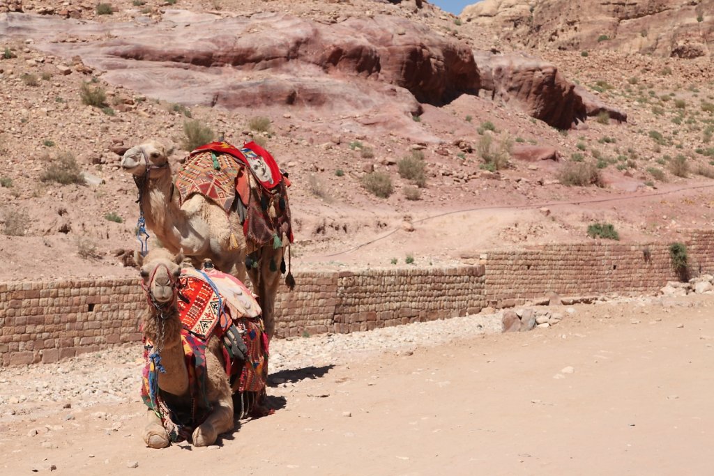 Jordanie (2019)