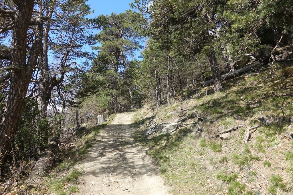 Gampel, Jeizinen (06.05.2019)