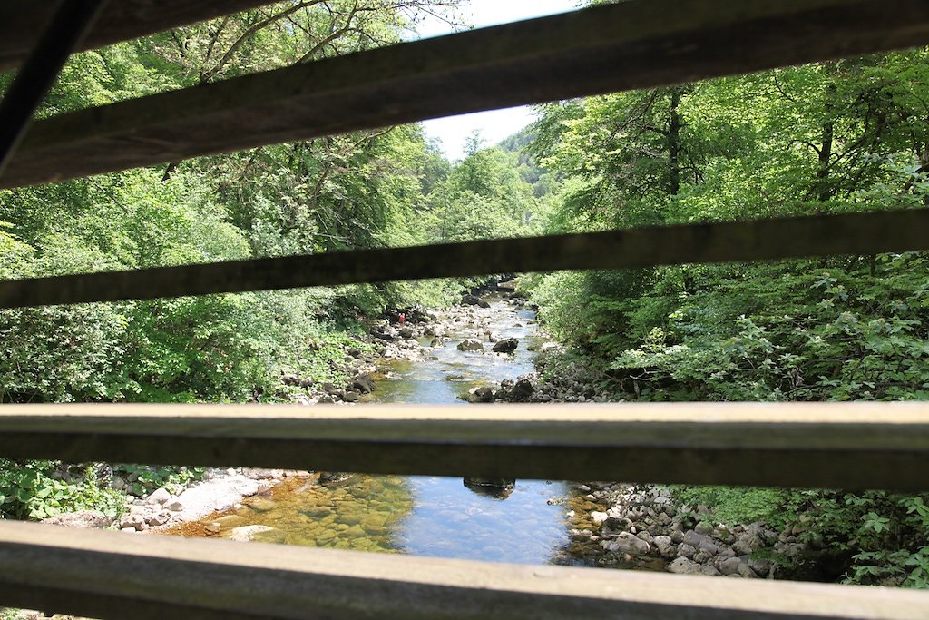 Gorges de l'Areuse (30.05.2019)