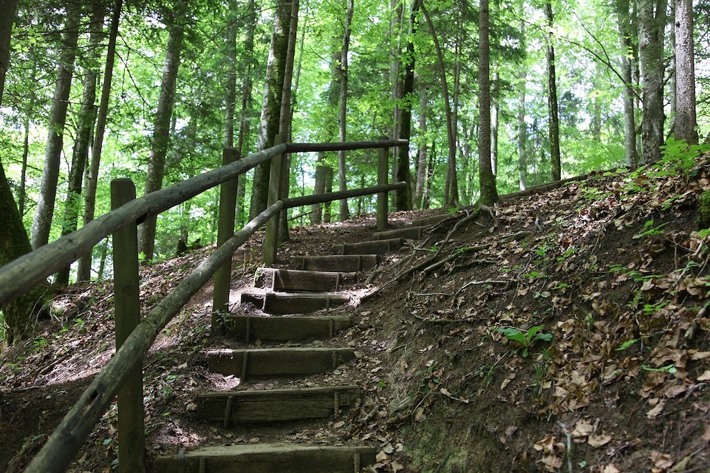 Gorges de l'Areuse (30.05.2019)