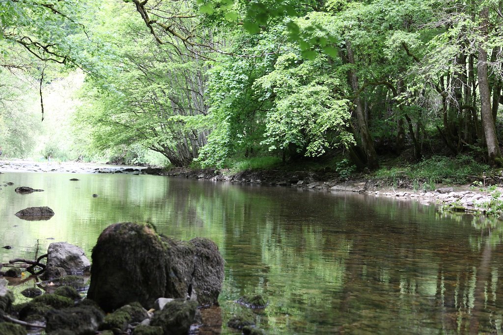 Gorges de l'Areuse (30.05.2019)