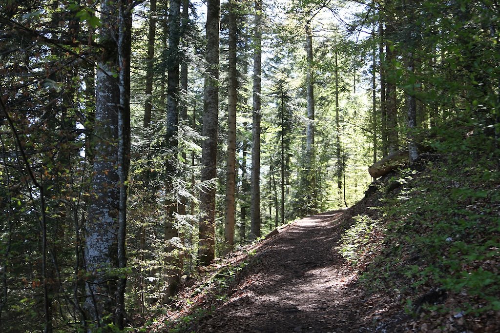 Creux du Van (31.05.2019)
