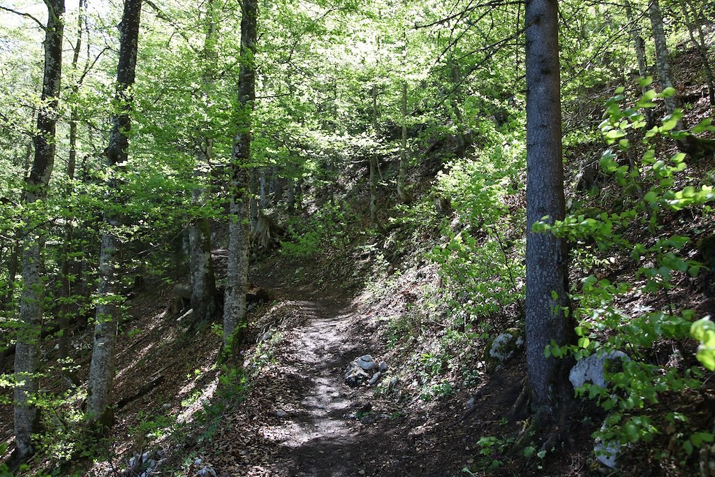 Creux du Van (31.05.2019)