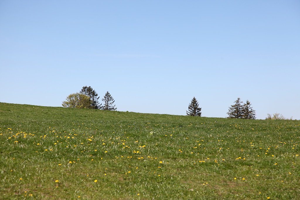 Creux du Van (31.05.2019)