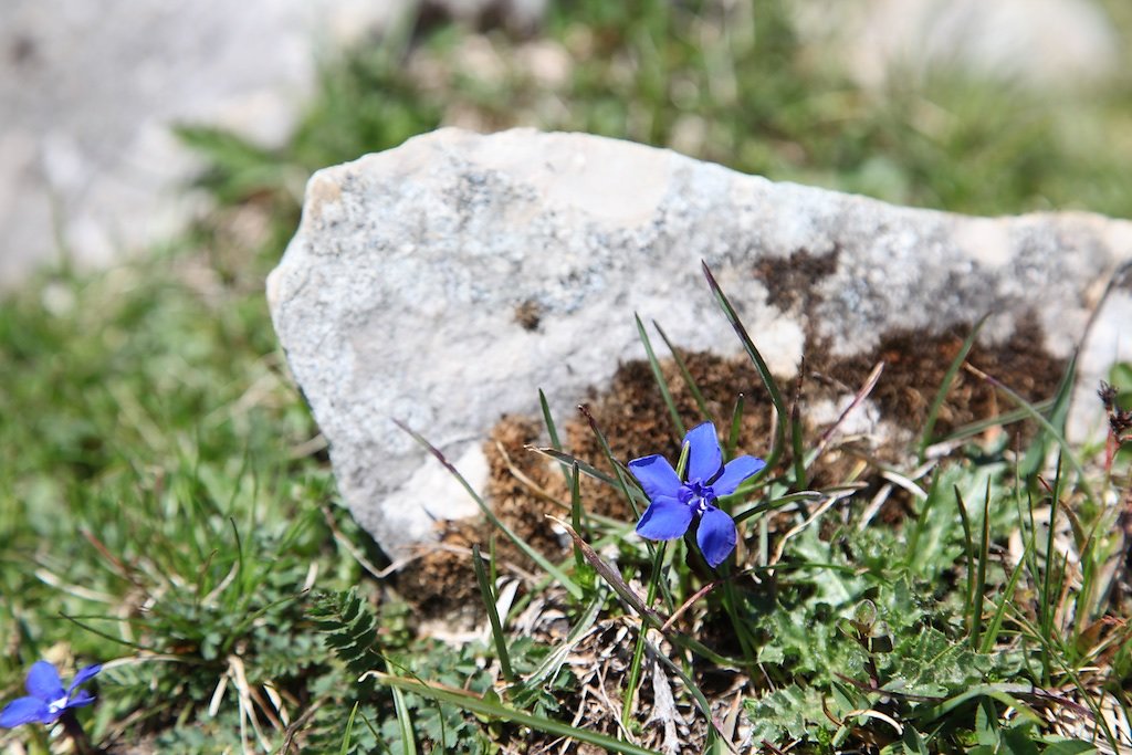Creux du Van (31.05.2019)